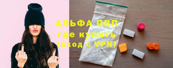 сатива Богданович