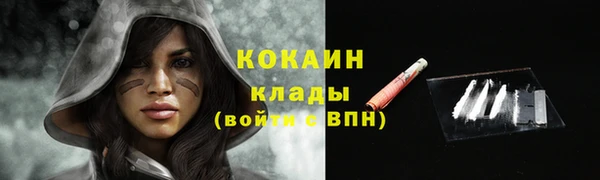 сатива Богданович
