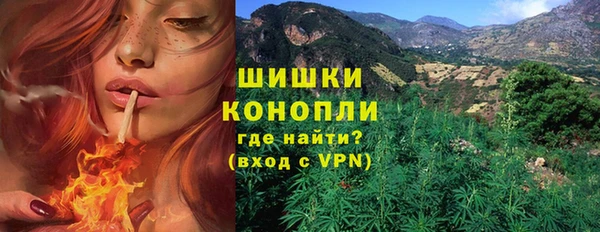 сатива Богданович