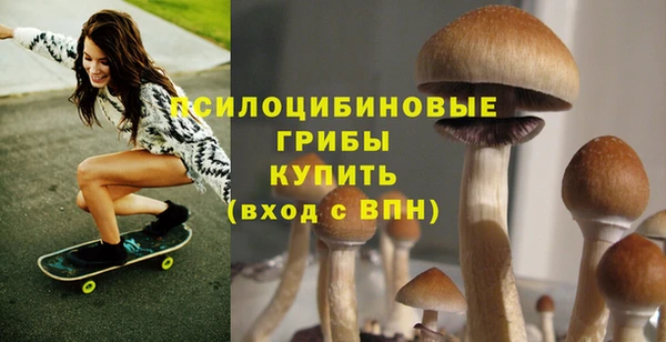 гидра Новокубанск