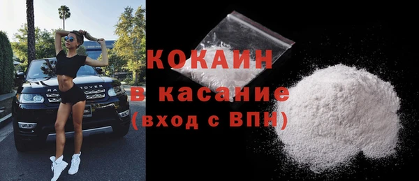 сатива Богданович