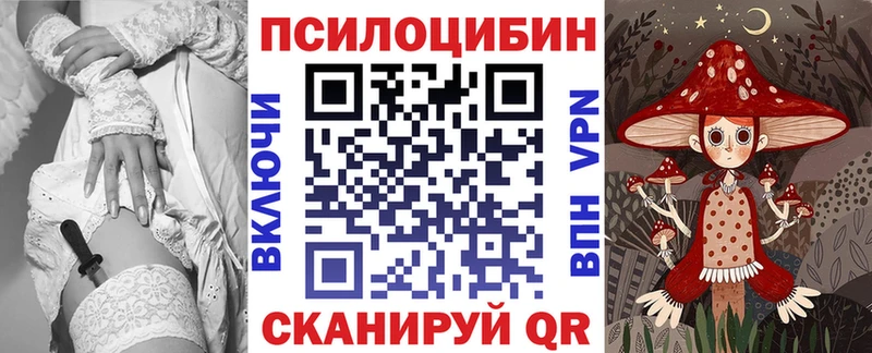 Псилоцибиновые грибы мицелий  Купить где  Куртамыш 